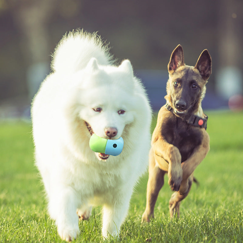 2-in-1 Dog Toy Ball – Durable Silicone Chew & Interactive Pet Play Toy