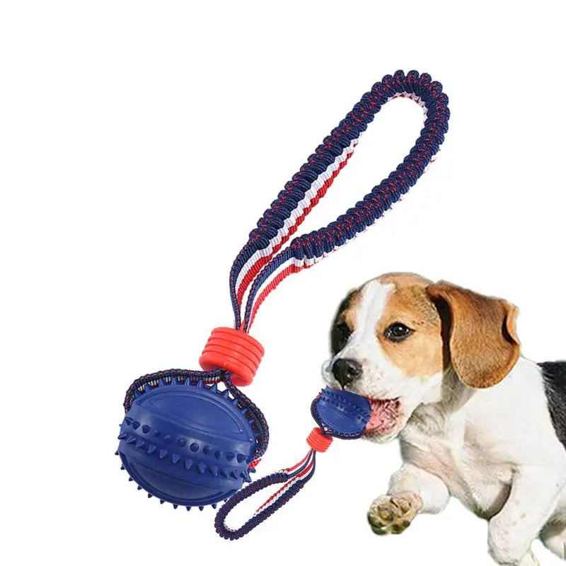 RopePlay™ Interactive Chew Ball