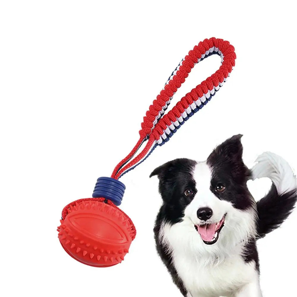 RopePlay™ Interactive Chew Ball