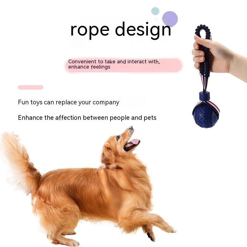 RopePlay™ Interactive Chew Ball
