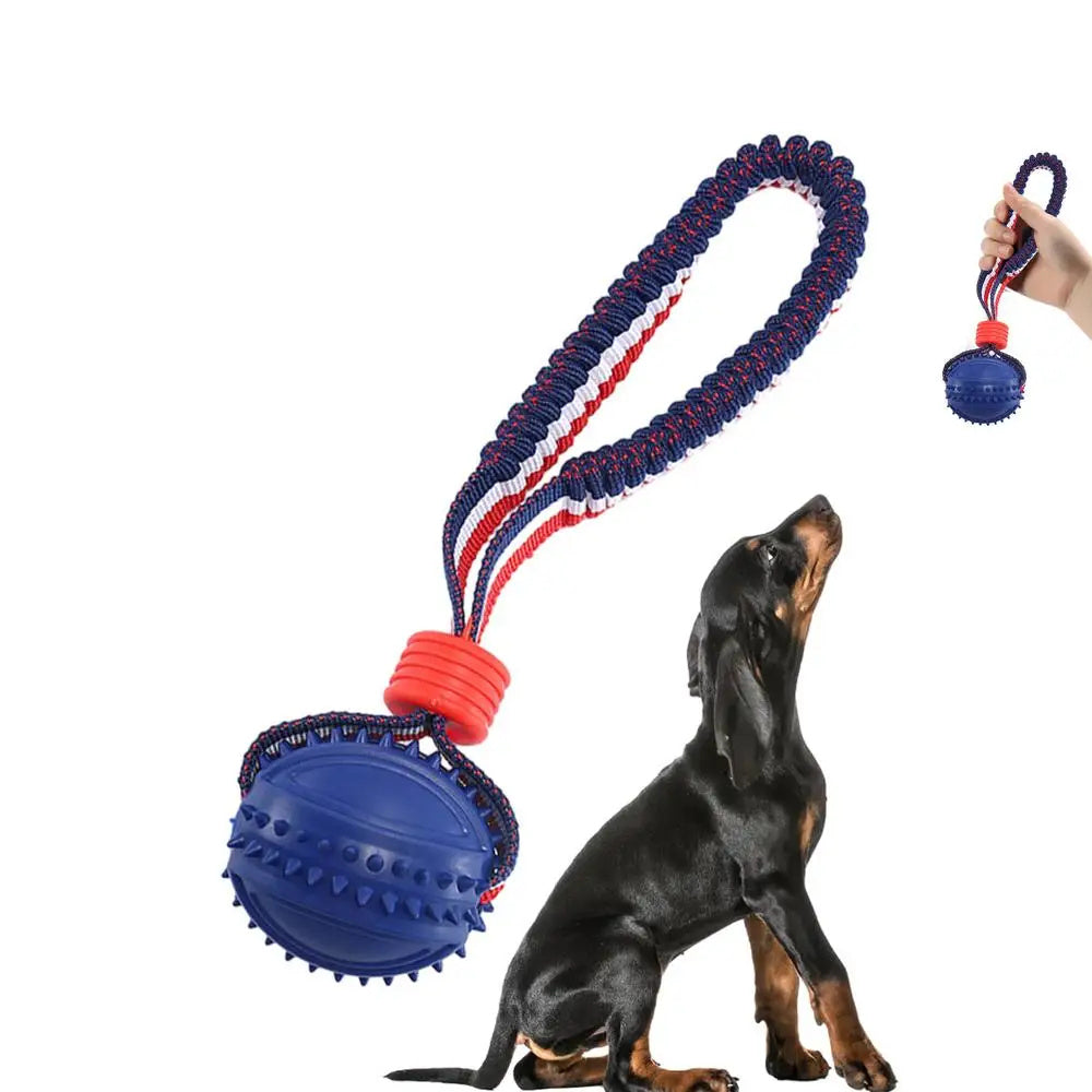 RopePlay™ Interactive Chew Ball