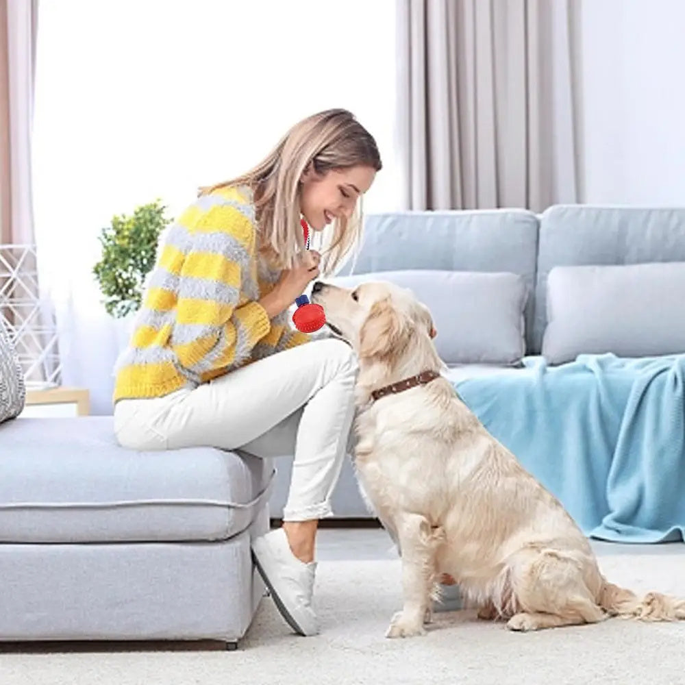 RopePlay™ Interactive Chew Ball