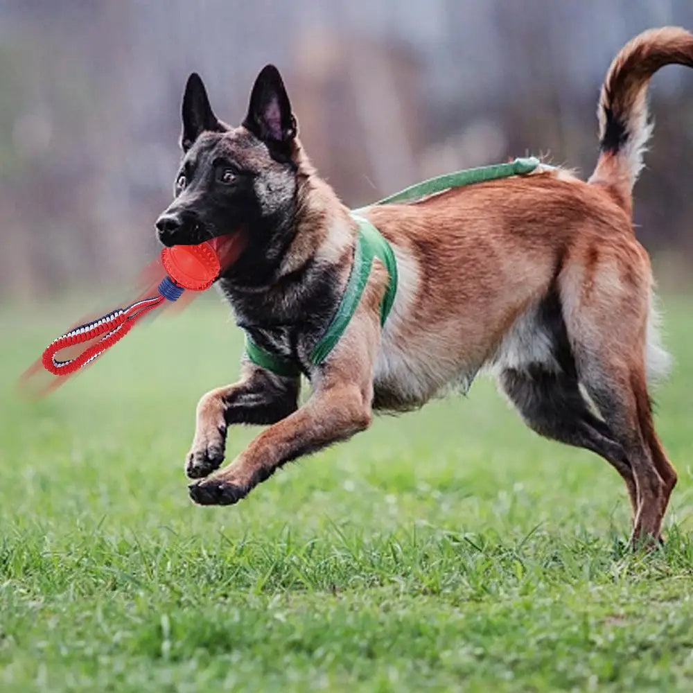 RopePlay™ Interactive Chew Ball