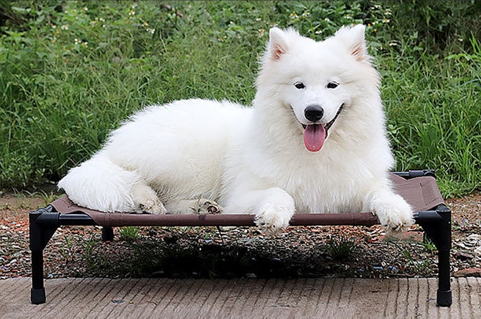Moisture-Proof Elevated Dog Bed – Washable Oxford Cloth Pet Cot with Removable Cover & Tent Option