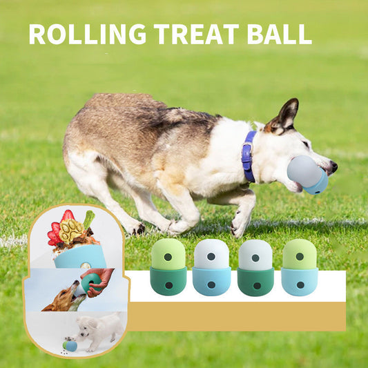 2-in-1 Dog Toy Ball – Durable Silicone Chew & Interactive Pet Play Toy